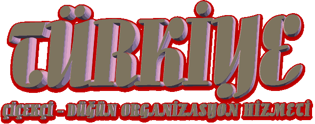 ieki dn organizasyon hizmeti